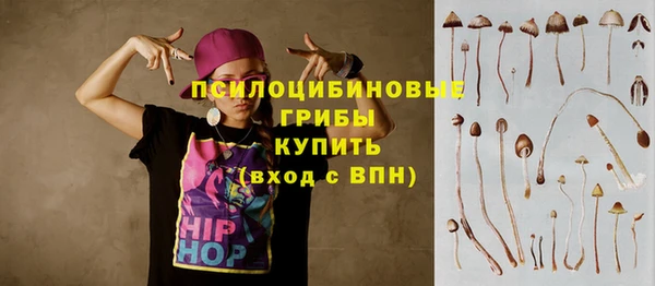 гашик Алзамай