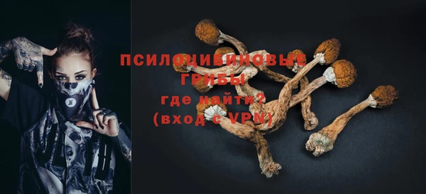 ешки Алексин