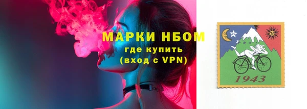 хмурый Абаза