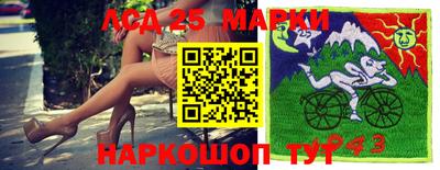 тгк Новодвинск