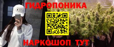 тгк Новодвинск