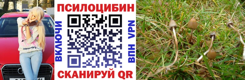 Псилоцибиновые грибы Cubensis  darknet наркотические препараты  Сыктывкар 