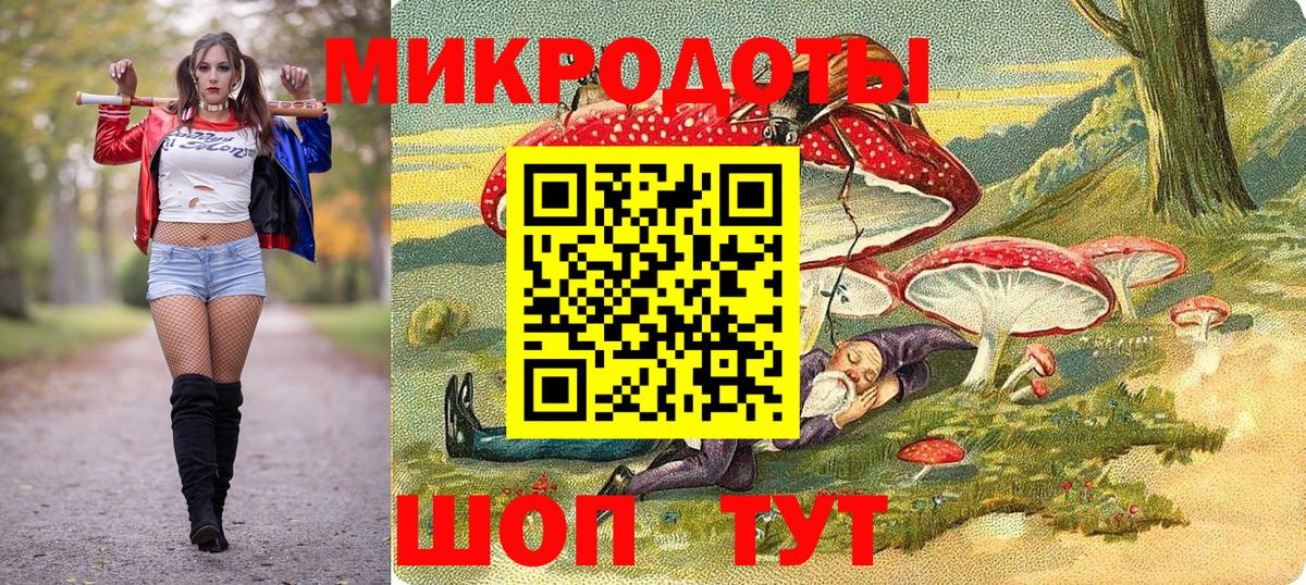 Псилоцибиновые грибы Psilocybine cubensis Сыктывкар