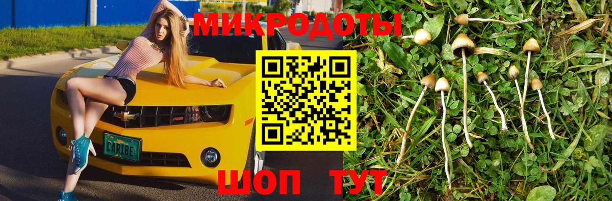 Псилоцибиновые грибы Magic Shrooms  Вход с VPN  Сыктывкар 