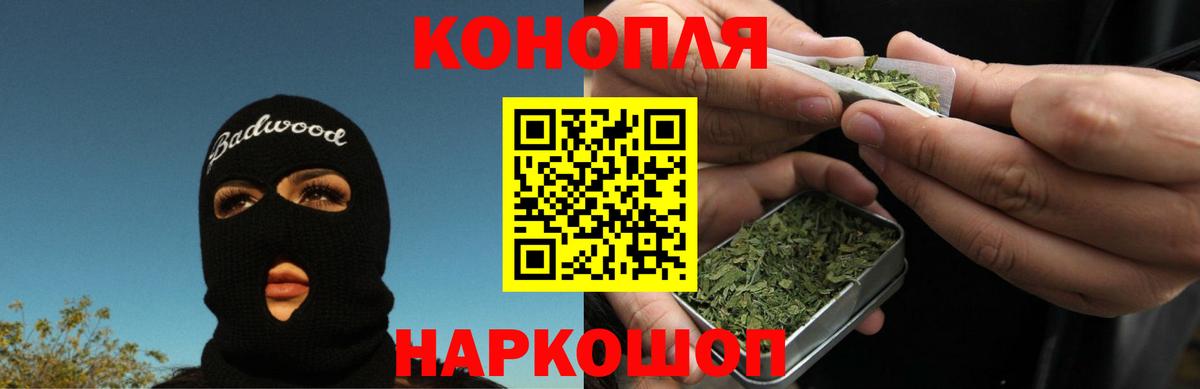Бошки марихуана конопля Сыктывкар